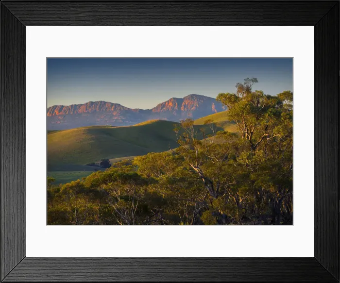Framed Print : View to Rawnsley bluff, Flinders Ranges South Australia