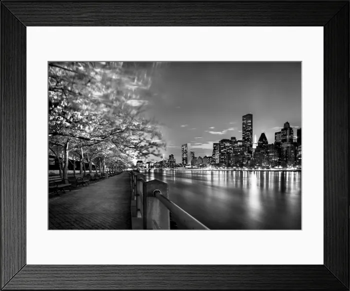 Framed Print : Cherry Blossom tress of Roosevelt Island in black and white Framed Print : Cherry Blossom tress of Roosevelt Island in black and white