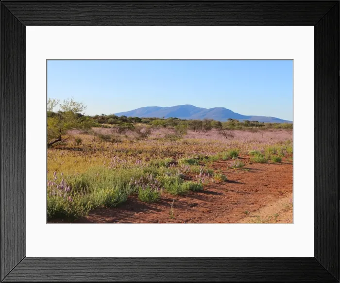 Framed Print : Travelling towards Mt. Augustus