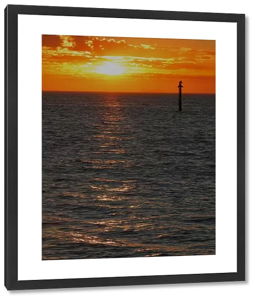 marine, sea, ocean, life, sunset, sun, prints, photography, classic, ripple, reflection
