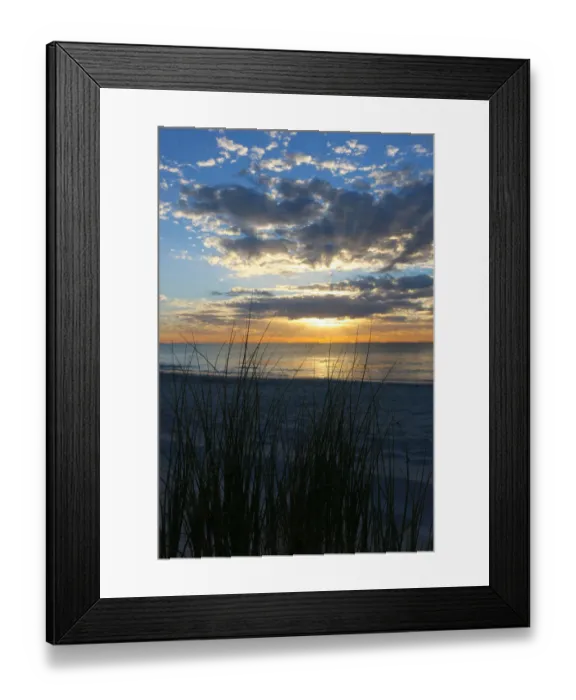 Framed Print : Sunsetting at Whitfords Beach through the grasses of the dunes Framed Print : Sunsetting at Whitfords Beach through the grasses of the dunes
