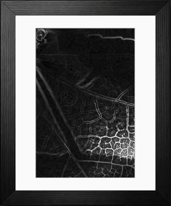 Framed Print : Great Veins Framed Print : Great Veins