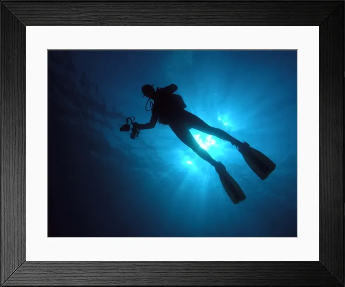 Framed Print : Scuba diver profile in sun