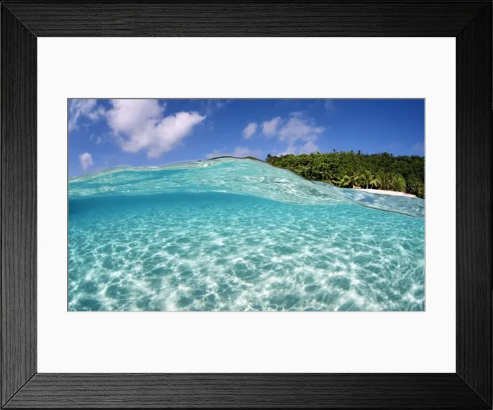 Framed Print : Tropical paradise Framed Print : Tropical paradise