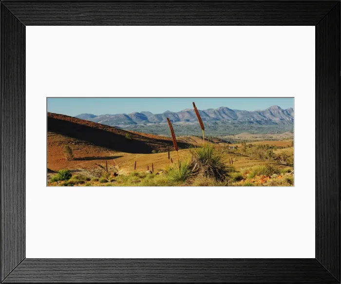 Framed Print : Flinders ranges south Australia Framed Print : Flinders ranges south Australia
