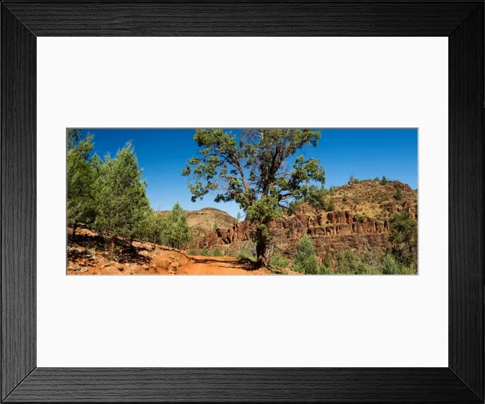 Framed Print : Willow springs flinders ranges