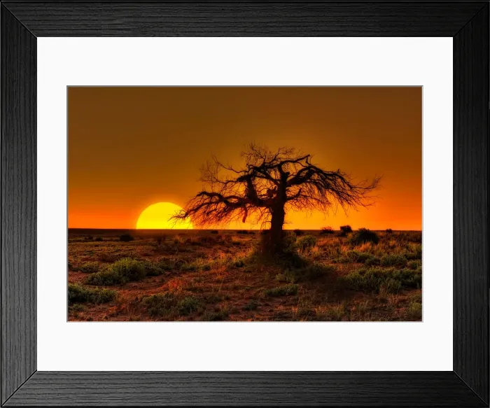 Framed Print : Muloorina track Marree Framed Print : Muloorina track Marree