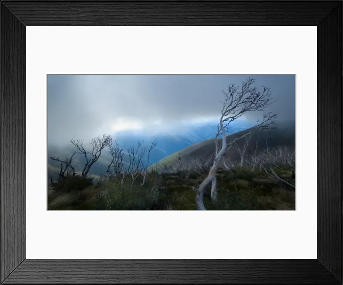 Framed Print : Mt Feathertop Victoria Framed Print : Mt Feathertop Victoria