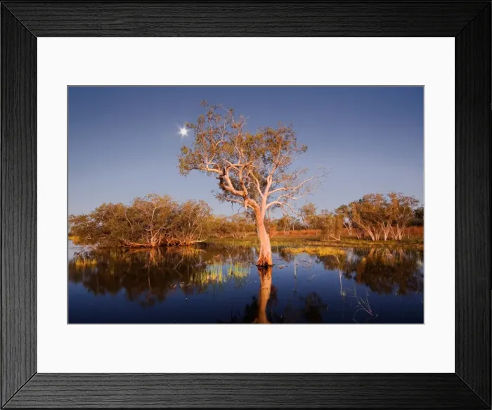 Framed Print : Derby Wetlands Kimberley WA Framed Print : Derby Wetlands Kimberley WA