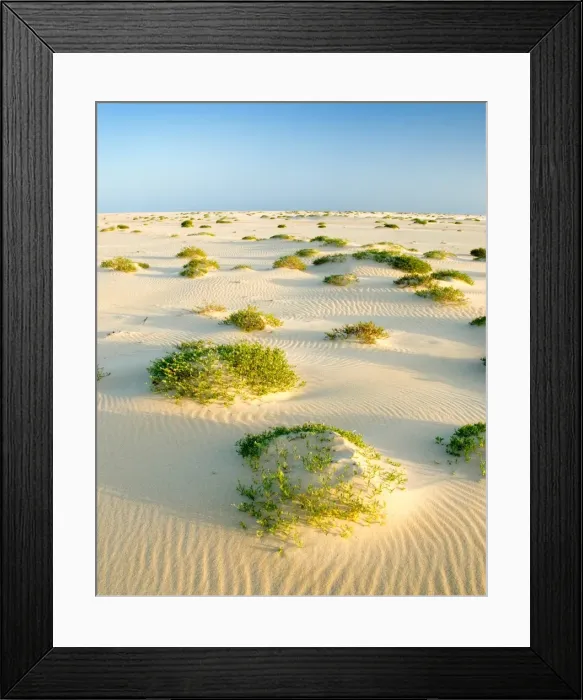Framed Print : Tuross Heads South Coast NSW