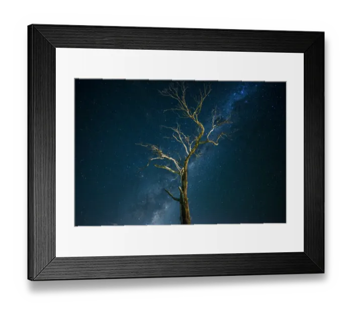 Framed Print : Tree with Milky way