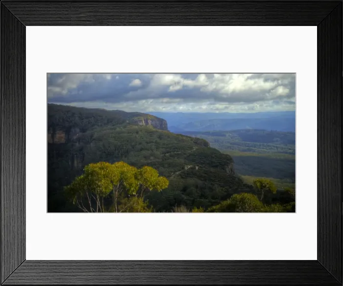 Framed Print : Blue Mountains temperate rain forest National Park