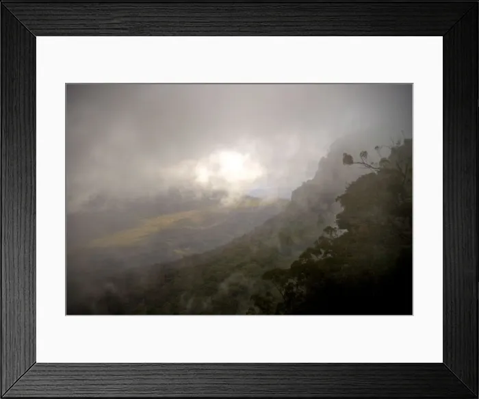 Framed Print : Blue mountains rain forest slops in dense fog