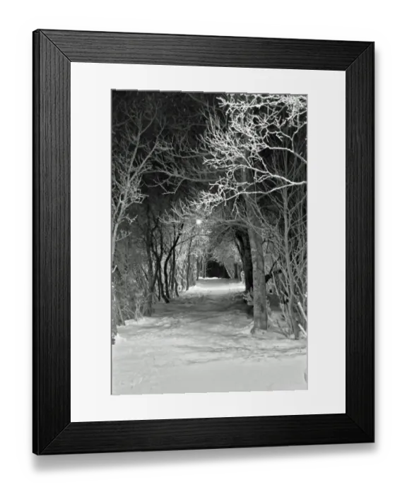 Framed Print : Tromso park footpath during polar night