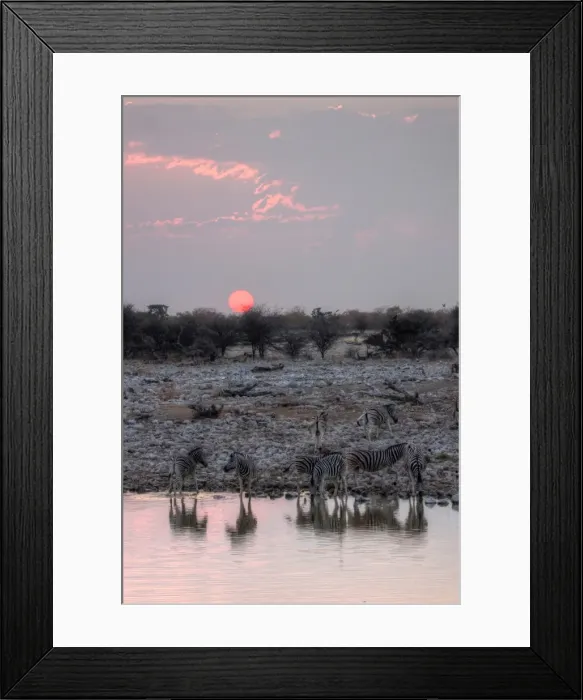 Framed Print : Namibian safari waterhole zebras and sunset Framed Print : Namibian safari waterhole zebras and sunset
