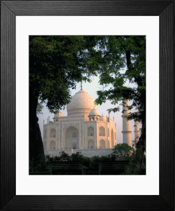 Framed Print : Taj Mahal behind trees at sunrise