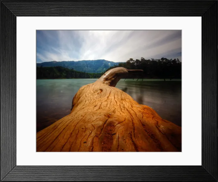 Framed Print : Java lake fallen red tree landscape Framed Print : Java lake fallen red tree landscape