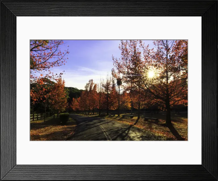 Framed Print : Autumn sunrise Framed Print : Autumn sunrise