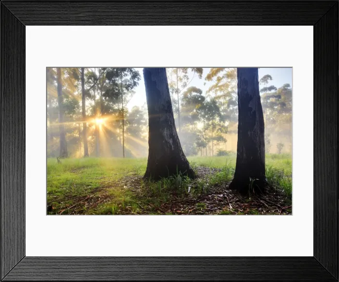 Framed Print : Sunrays in the mist Framed Print : Sunrays in the mist