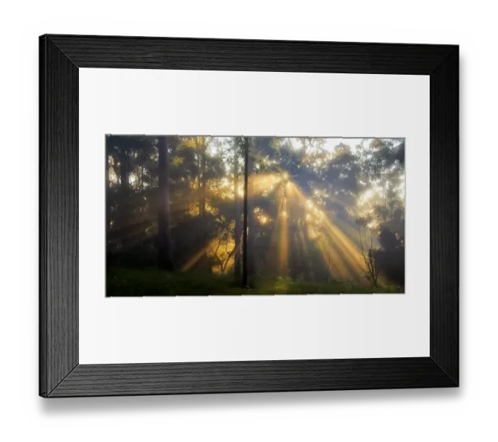 Framed Print : Sunrays in the mist