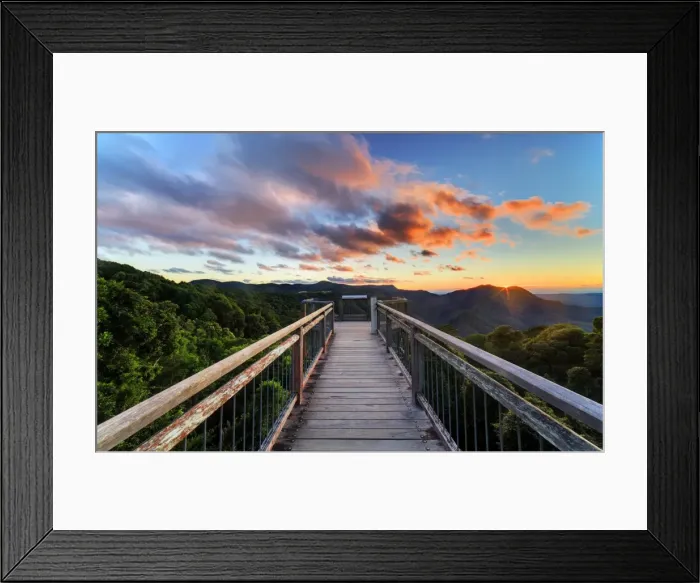 Framed Print : Dorrigo National Park sunrise Framed Print : Dorrigo National Park sunrise