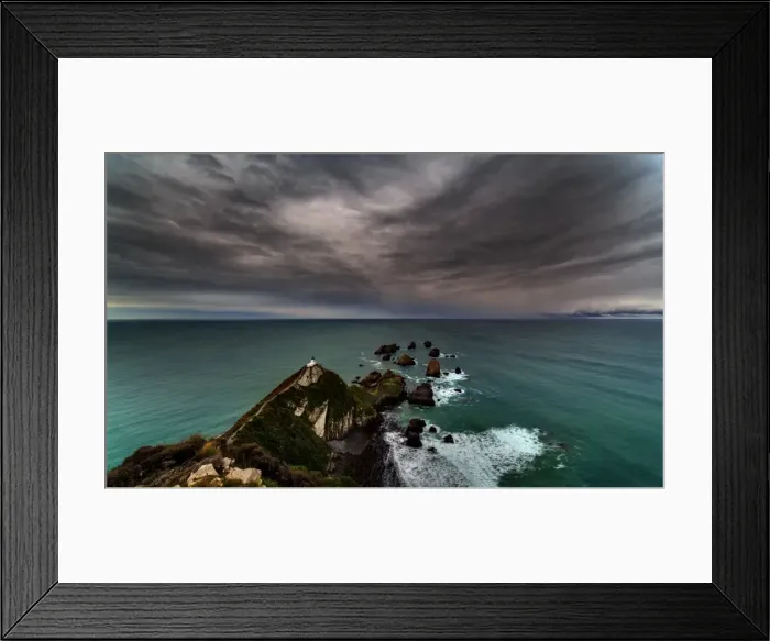 Framed Print : Nugget Point New Zealand Framed Print : Nugget Point New Zealand