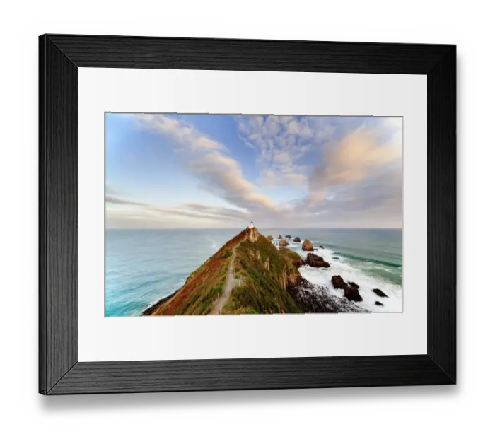 Framed Print : Nugget Point New Zealand Framed Print : Nugget Point New Zealand