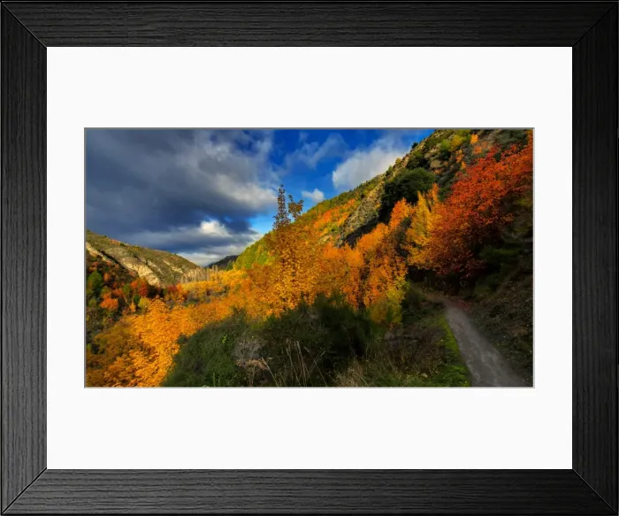 Framed Print : Mountain trail