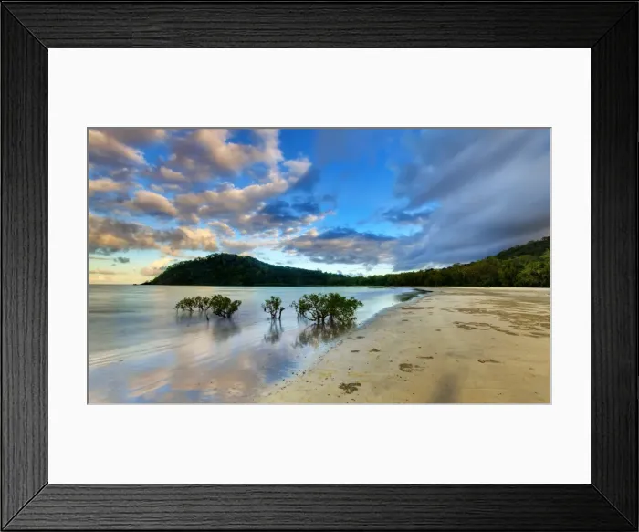 Framed Print : Cape Tribulation Australia Framed Print : Cape Tribulation Australia