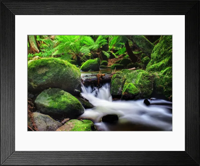 Framed Print : Rainforest and cascading stream