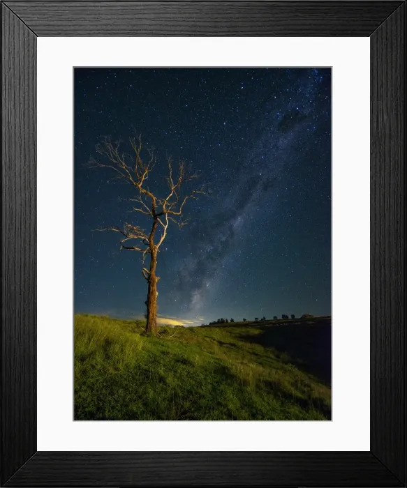 Framed Print : Standing tree with Milky Way Framed Print : Standing tree with Milky Way