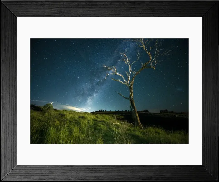 Framed Print : Standing tree with Milky Way Framed Print : Standing tree with Milky Way