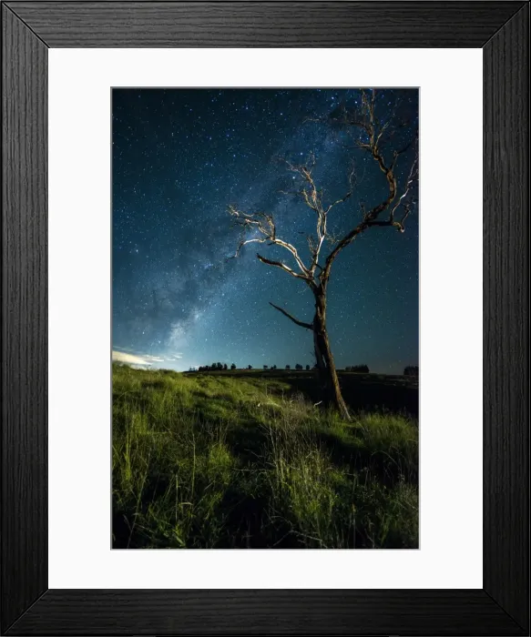 Framed Print : Tree with Milky way