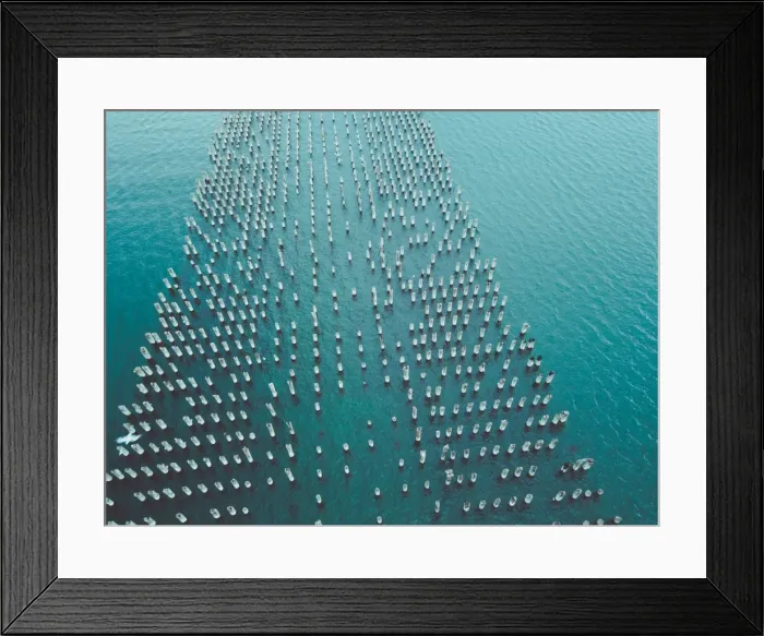 Framed Print : Aerial view of the Port Melbourne and Princess Pier Framed Print : Aerial view of the Port Melbourne and Princess Pier