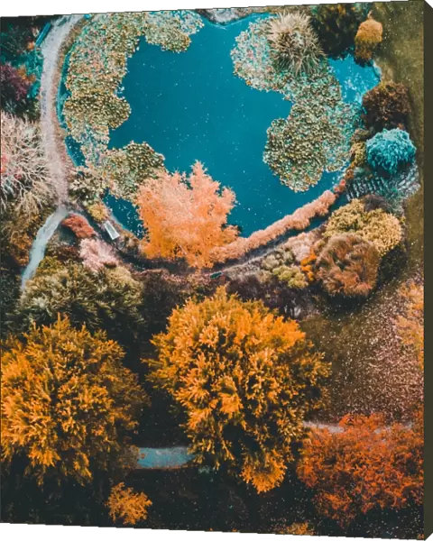Aerial view of colourful trees with a lake with a heart shape