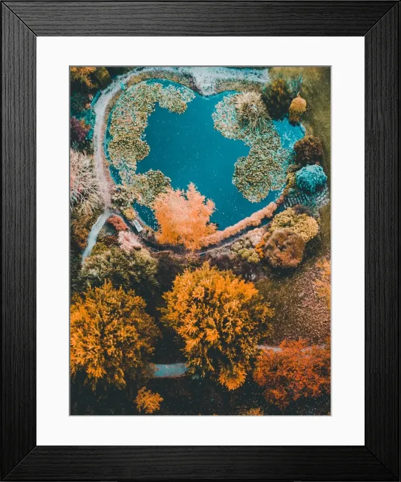 Framed Print : Aerial view of colourful trees with a lake with a heart shape