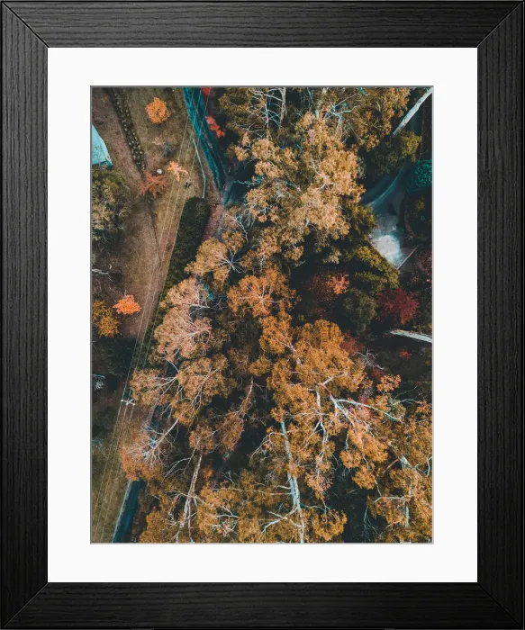 Framed Print : Aerial view of colourful trees with a lake in autumn, Victoria, Australia Framed Print : Aerial view of colourful trees with a lake in autumn, Victoria, Australia