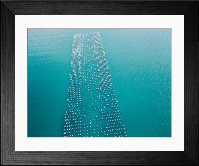 Framed Print : Aerial view of the Port Melbourne and Princess Pier Framed Print : Aerial view of the Port Melbourne and Princess Pier