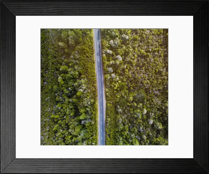 Framed Print : Road Through forest at Waitakere Ranges, Auckland, New Zealand Framed Print : Road Through forest at Waitakere Ranges, Auckland, New Zealand