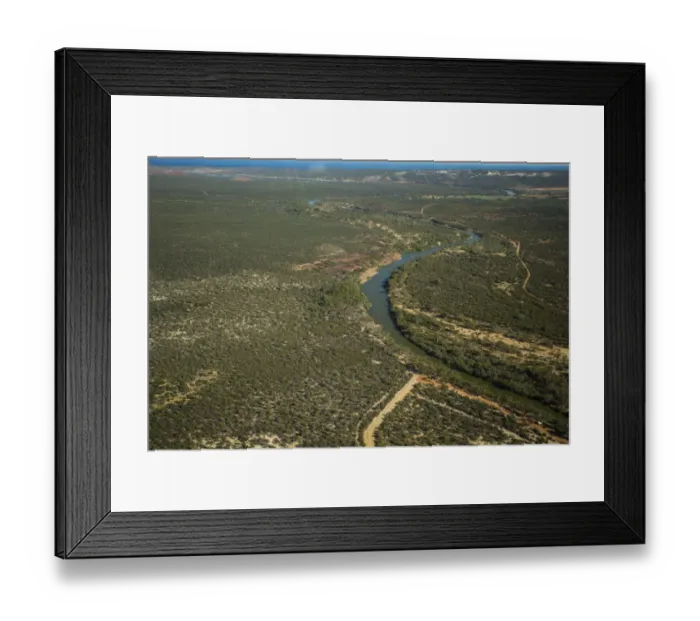 Framed Print : live, wate, bush (plant) Framed Print : live, wate, bush (plant)