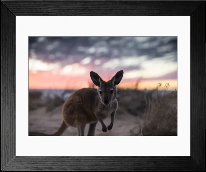 Framed Print : ocean, art Framed Print : ocean, art