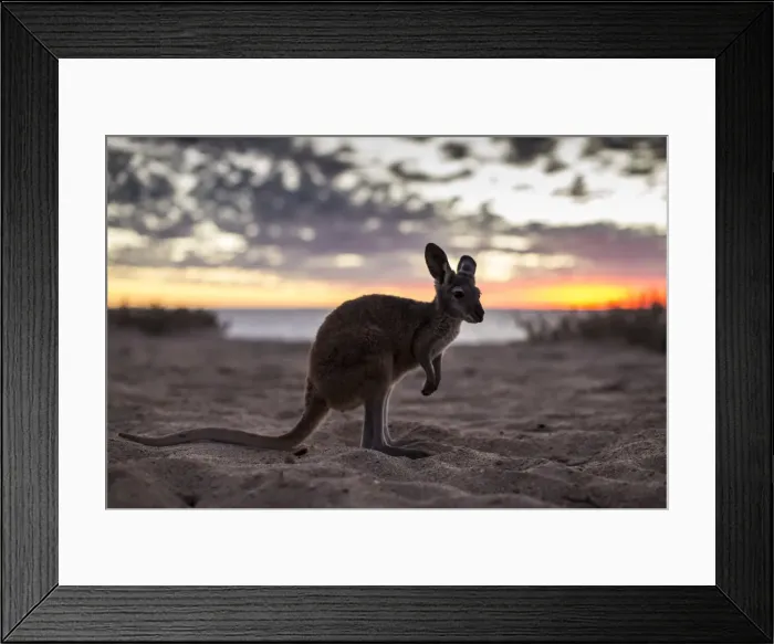 Framed Print : ocean, glow, bluff