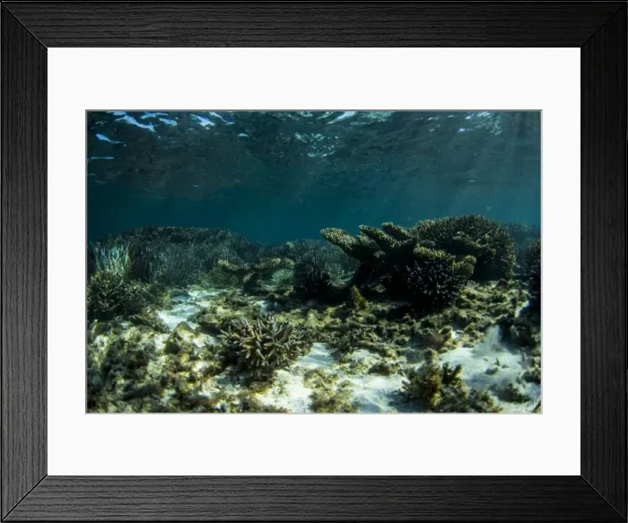 Framed Print : Abrohlos island reefs Framed Print : Abrohlos island reefs