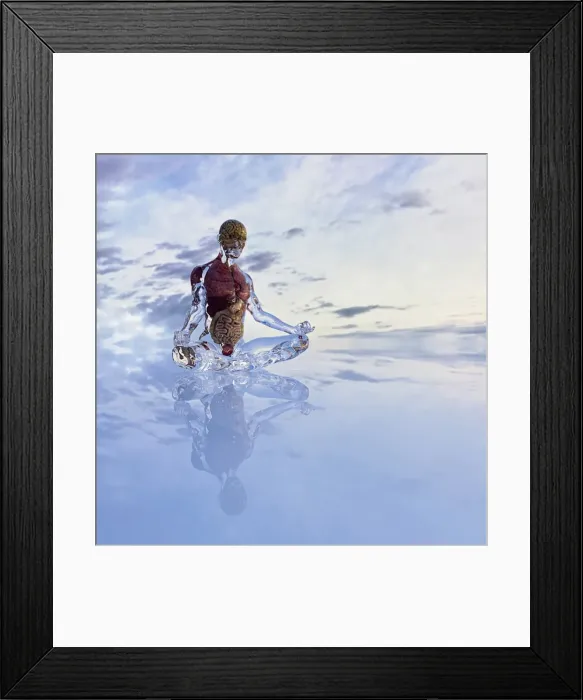 Framed Print : android, cloud, colon, color image, concept, copy space, cross-legged, cyborg, day