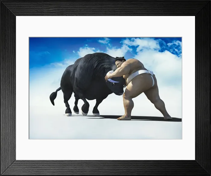 Framed Print : animals, ar, augmented reality, battling, black hair, bull, bull fight, challenge Framed Print : animals, ar, augmented reality, battling, black hair, bull, bull fight, challenge