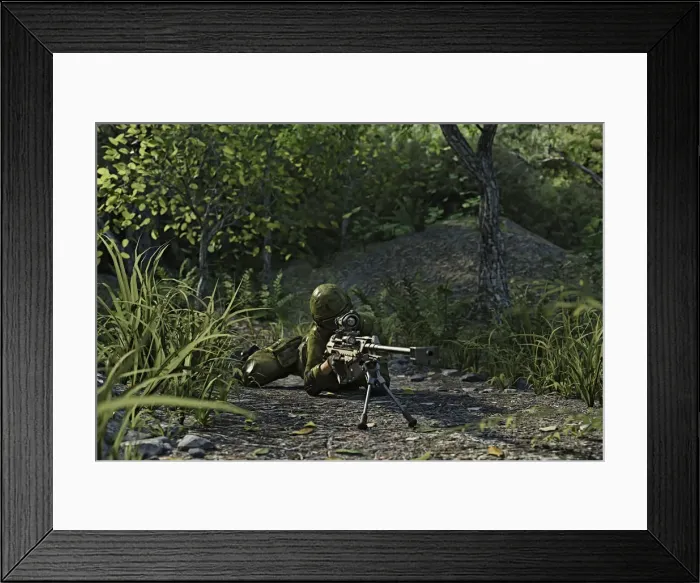 Framed Print : accuracy, aiming, ar, armed services, augmented reality, camouflage, color image