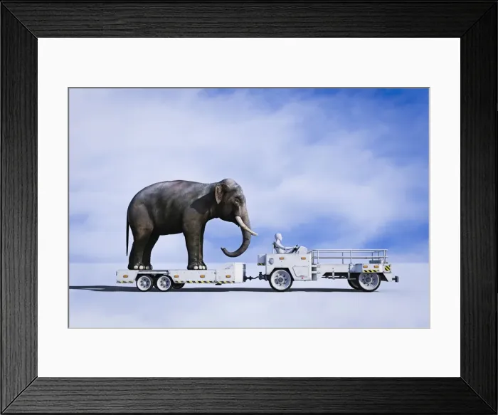 Framed Print : ai, android, animals, artificial intelligence, captivity, cargo, cloud, color image Framed Print : ai, android, animals, artificial intelligence, captivity, cargo, cloud, color image