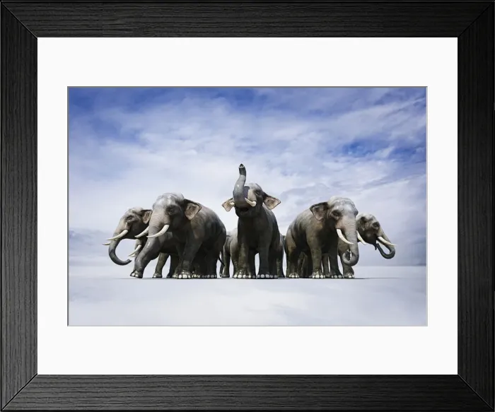 Framed Print : animals, circle, cloud, color image, computer graphic, concept, copy space, defensive Framed Print : animals, circle, cloud, color image, computer graphic, concept, copy space, defensive