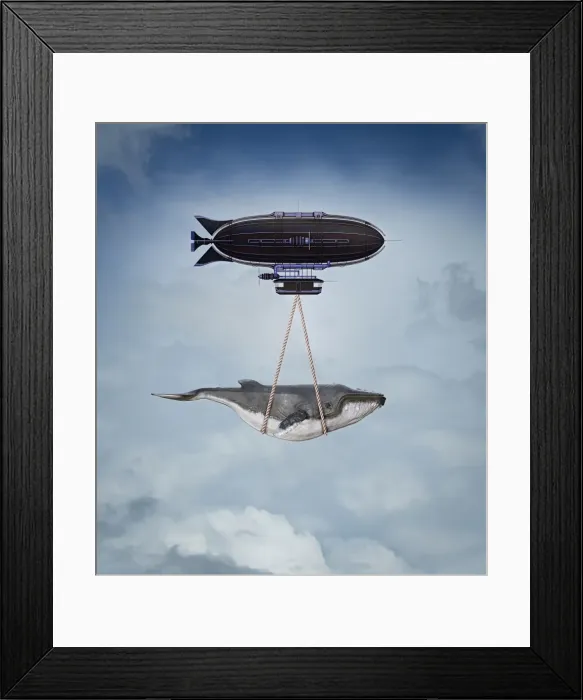 Framed Print : Donald Iain Smith Framed Print : Donald Iain Smith