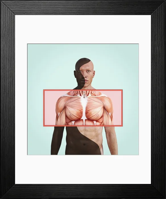 Framed Print : bald, black, body, chest, close up, color, color image, concept, copy space, cut out Framed Print : bald, black, body, chest, close up, color, color image, concept, copy space, cut out